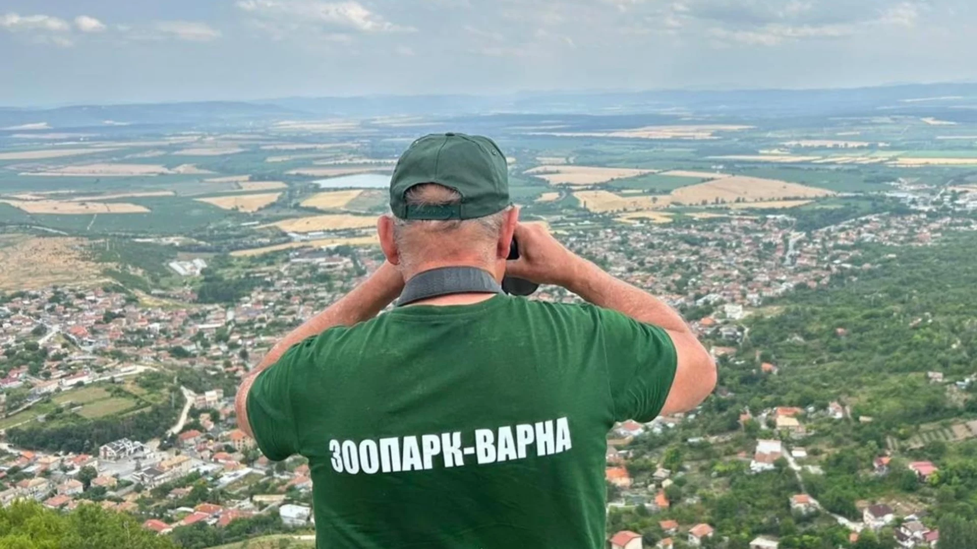 "Отглеждането на диви котки е забранено": МОСВ каза какво ще се случи с пантерата в Шумен