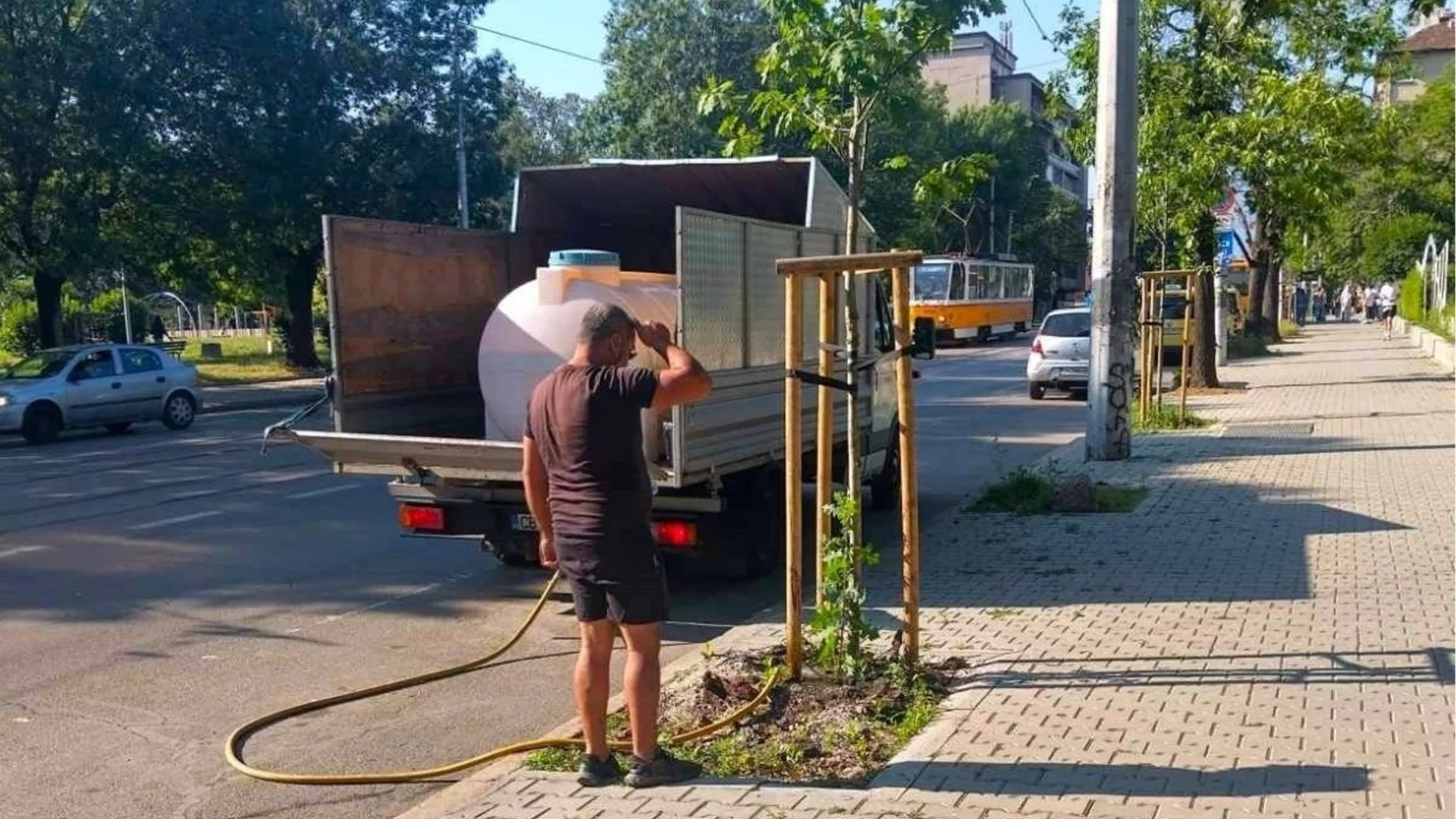 Заради жегите: Поливат всяка седмица дръвчета по улиците на София