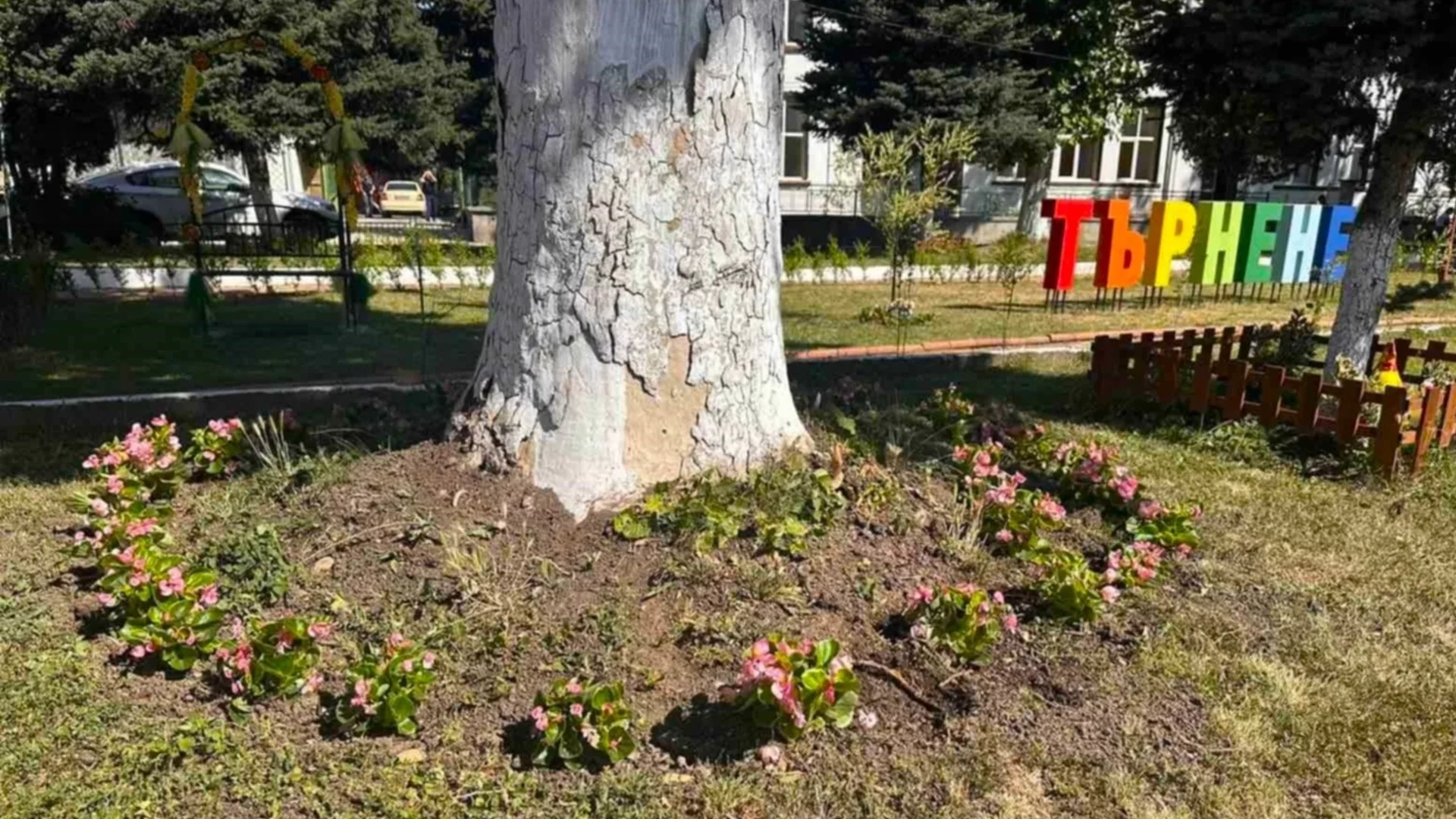 Зацветяват малките населени места в община Плевен с над 2 000 бегонии