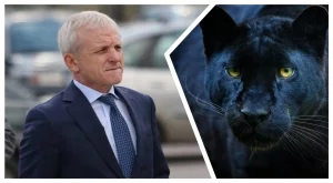 Внимание: Леопардът на 20 км от ранчото на Гриша Ганчев, ще бъде ли обстрелян?