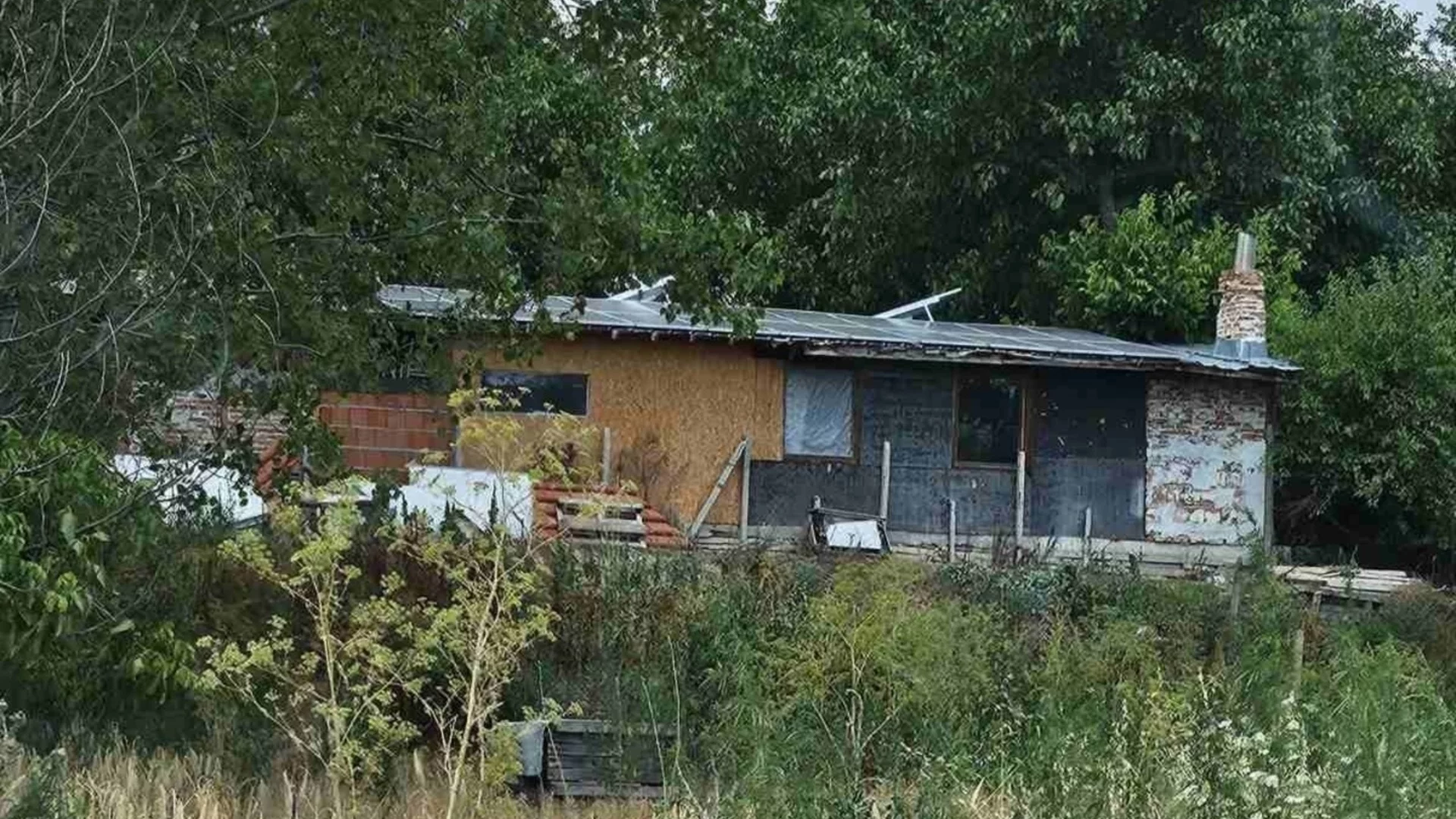 Заради мъртва риба в Марица: РИОСВ с нова проверка край пловдивско село