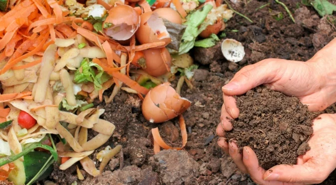 Как да премахнете лошата миризма на компоста