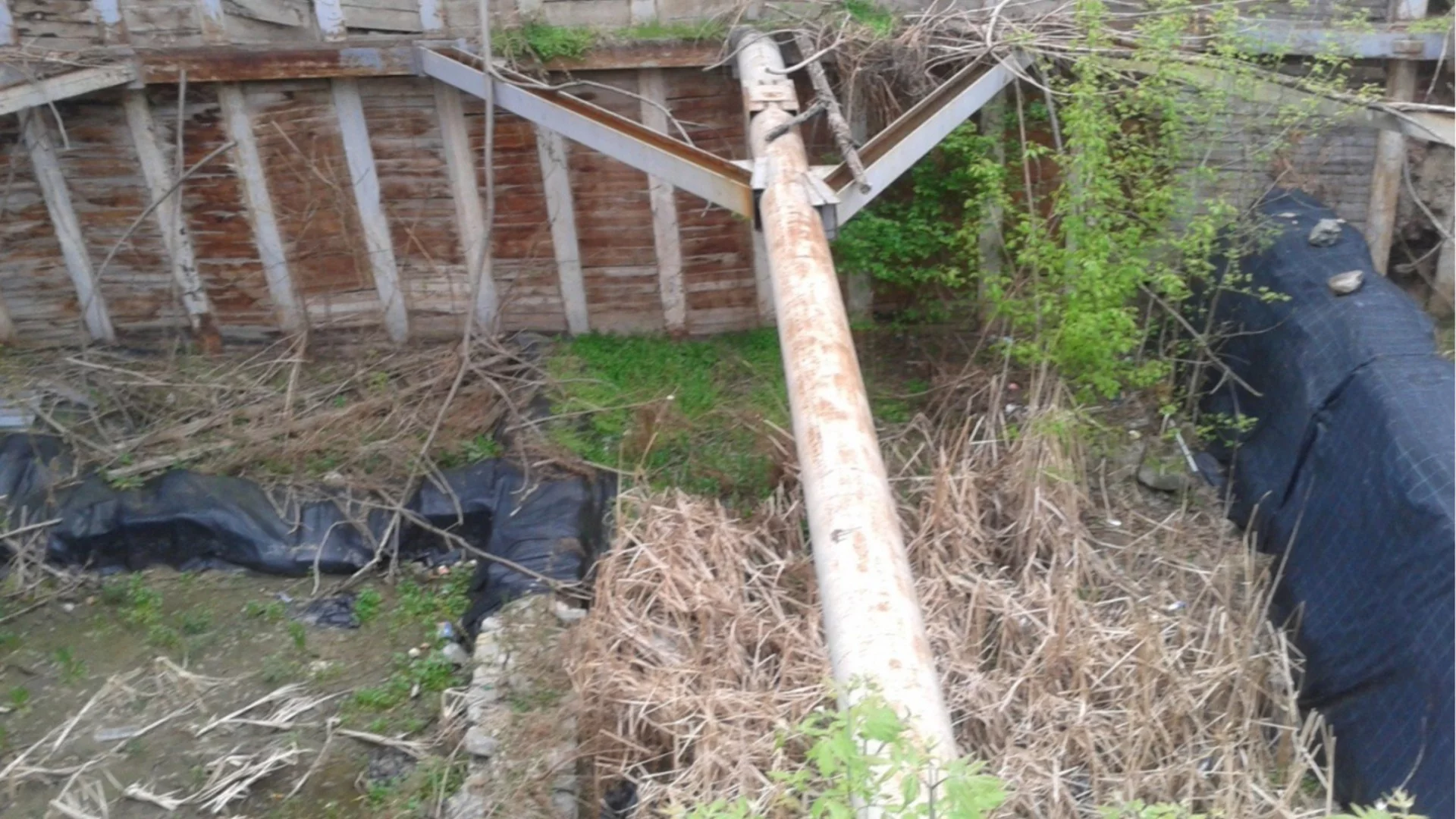 ДБ: Държавата да не продава Амфитеатъра на Сердика, а да го даде на София за възстановяване