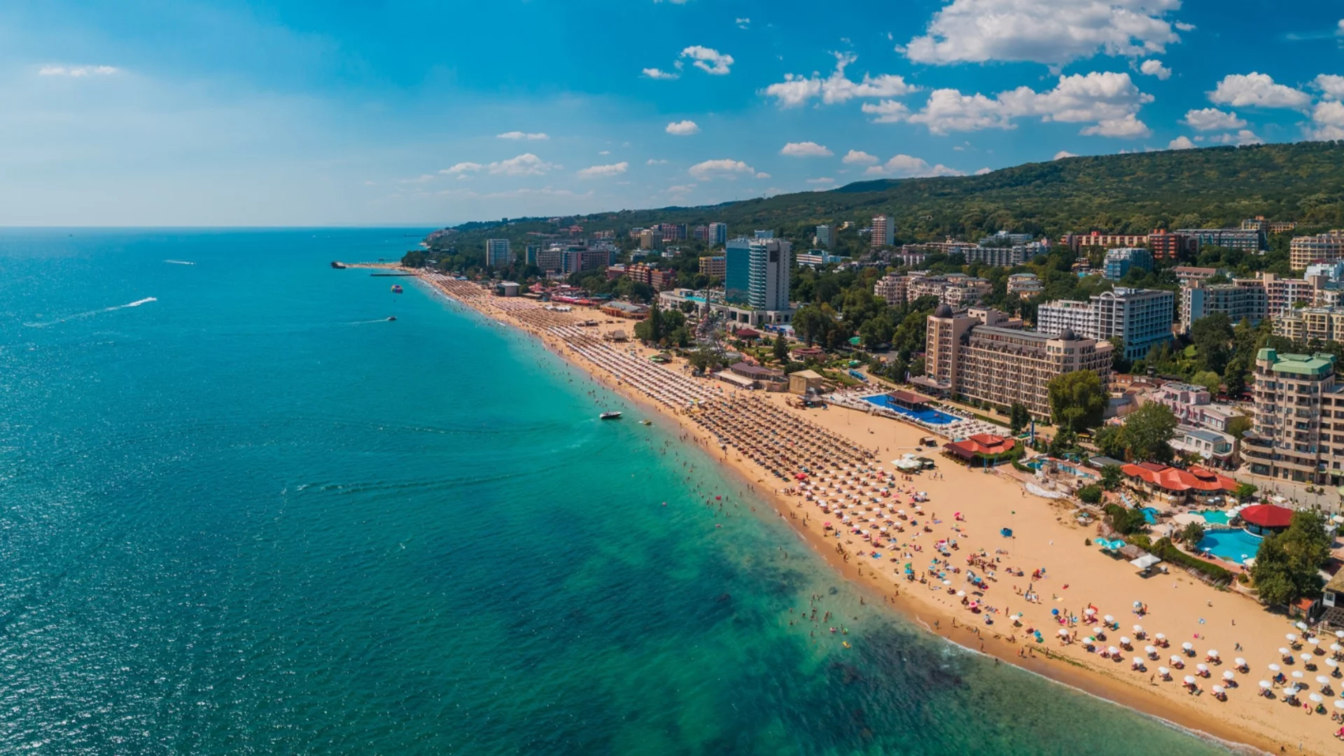 Опасната бактерия вибрио в Черно море: Как да се предпазим и колко е опасно заболяването?