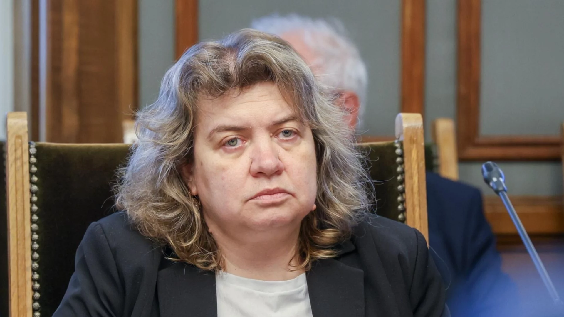 Горите и пожарите: Киселова загатна, че държавата мисли за залесяване