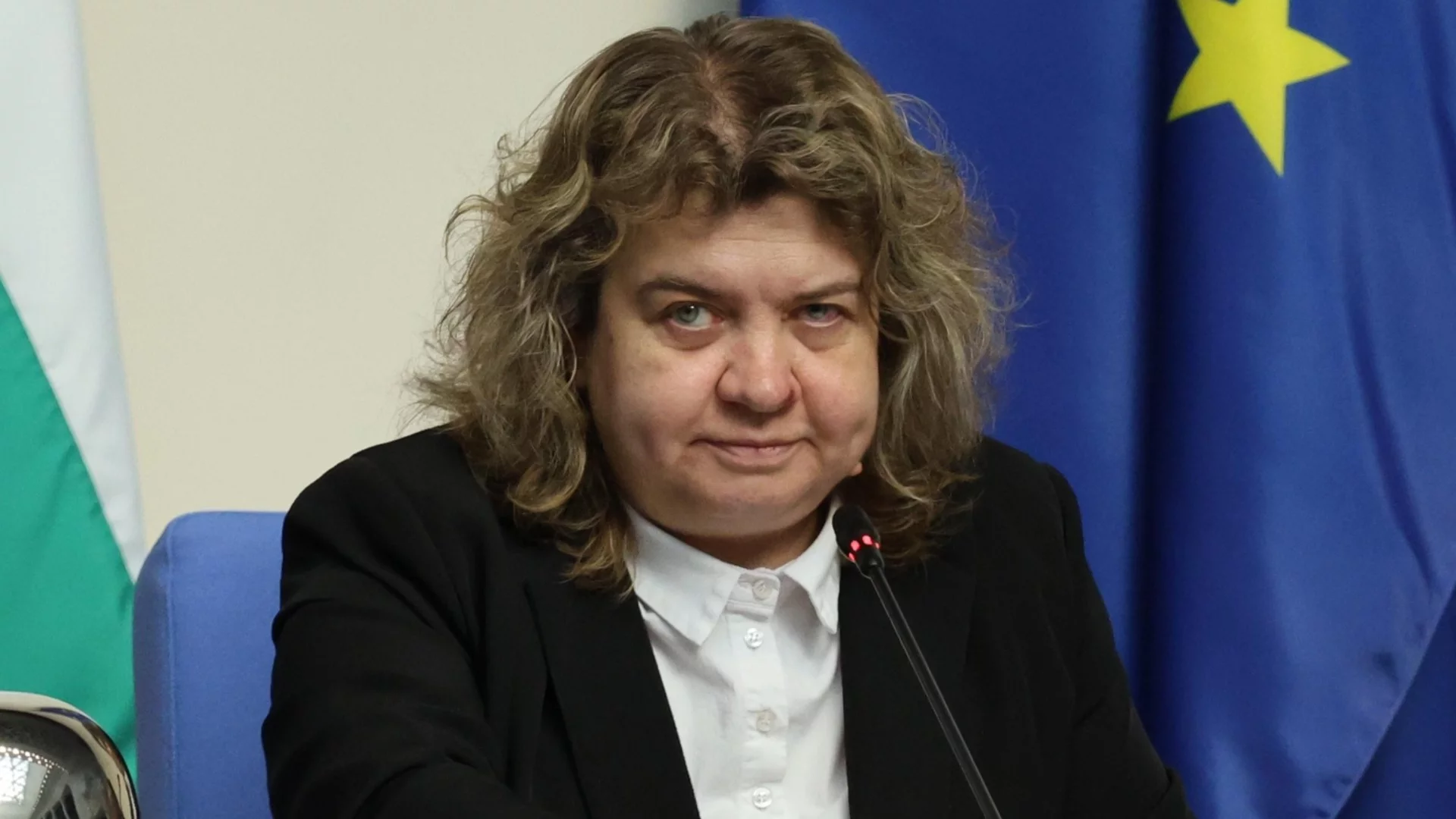 Държавните имоти, есенната сесия и бюджетът в евро: Говори Наталия Киселова