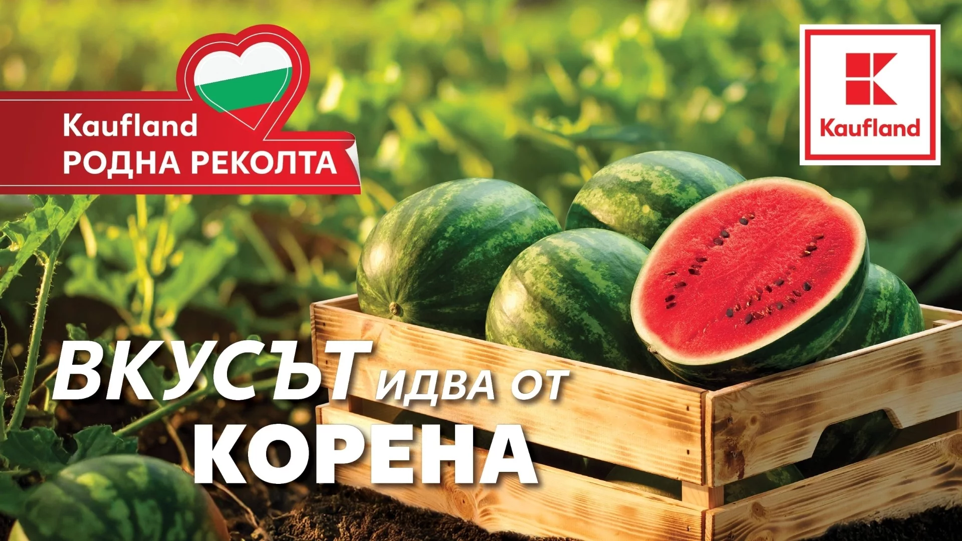 Българска диня на половин цена до 17 август в Kaufland