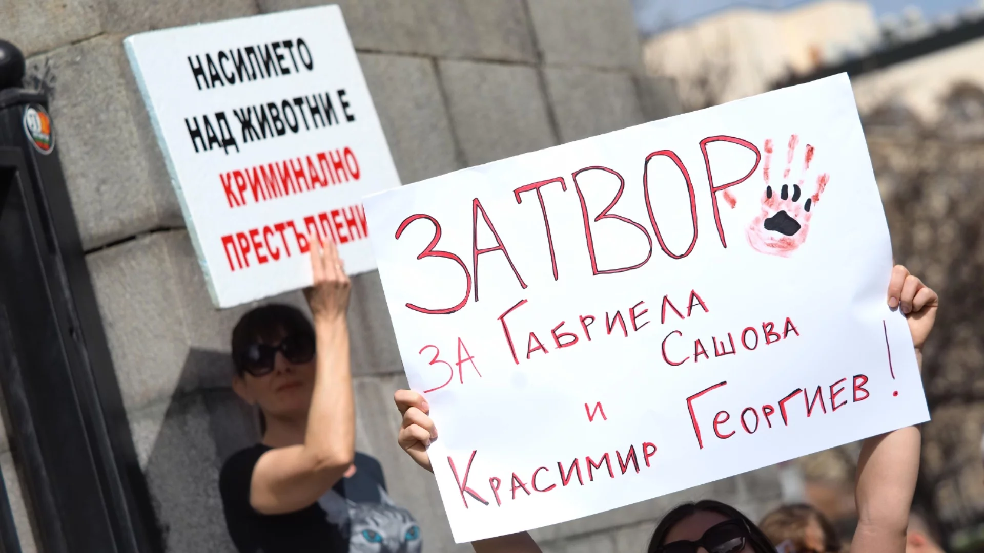 Оставиха в ареста Красимир Георгиев, обвинен за малтретиране и убийства на животни