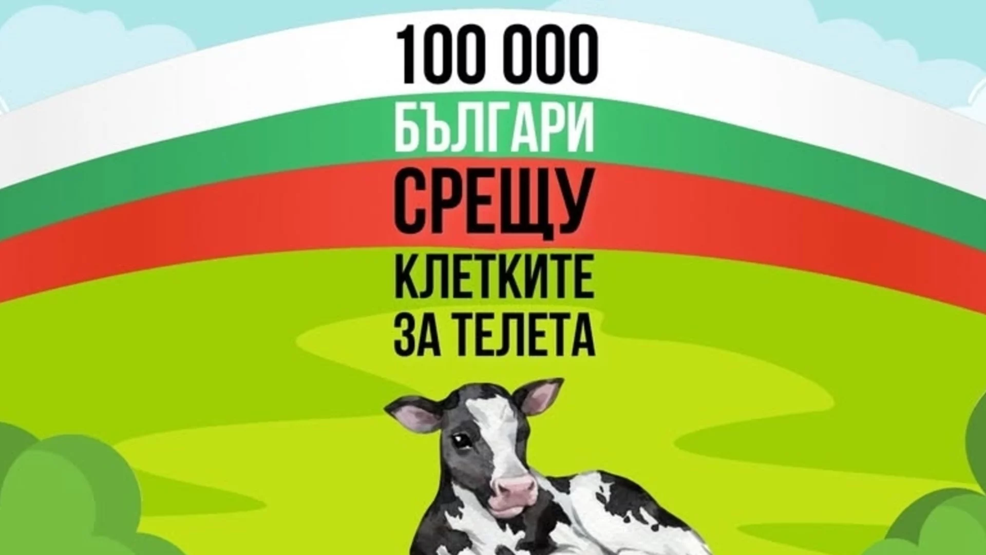 Страданието им не е невидимо: Повече от 100 хил. души казват "НЕ" на клетките за телета пред НС