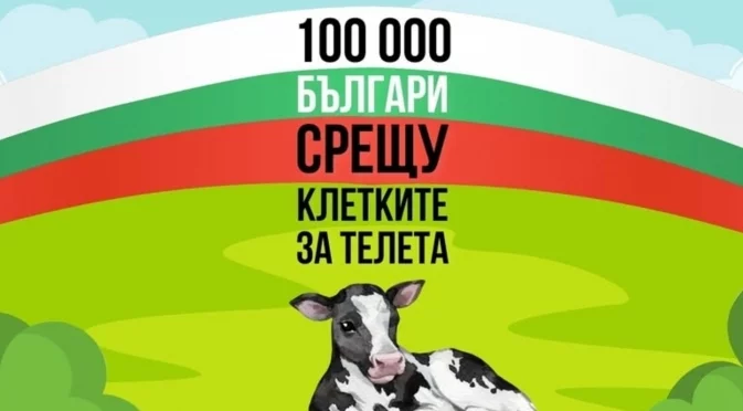 Страданието им не е невидимо: Повече от 100 хил. души казват "НЕ" на клетките за телета пред НС