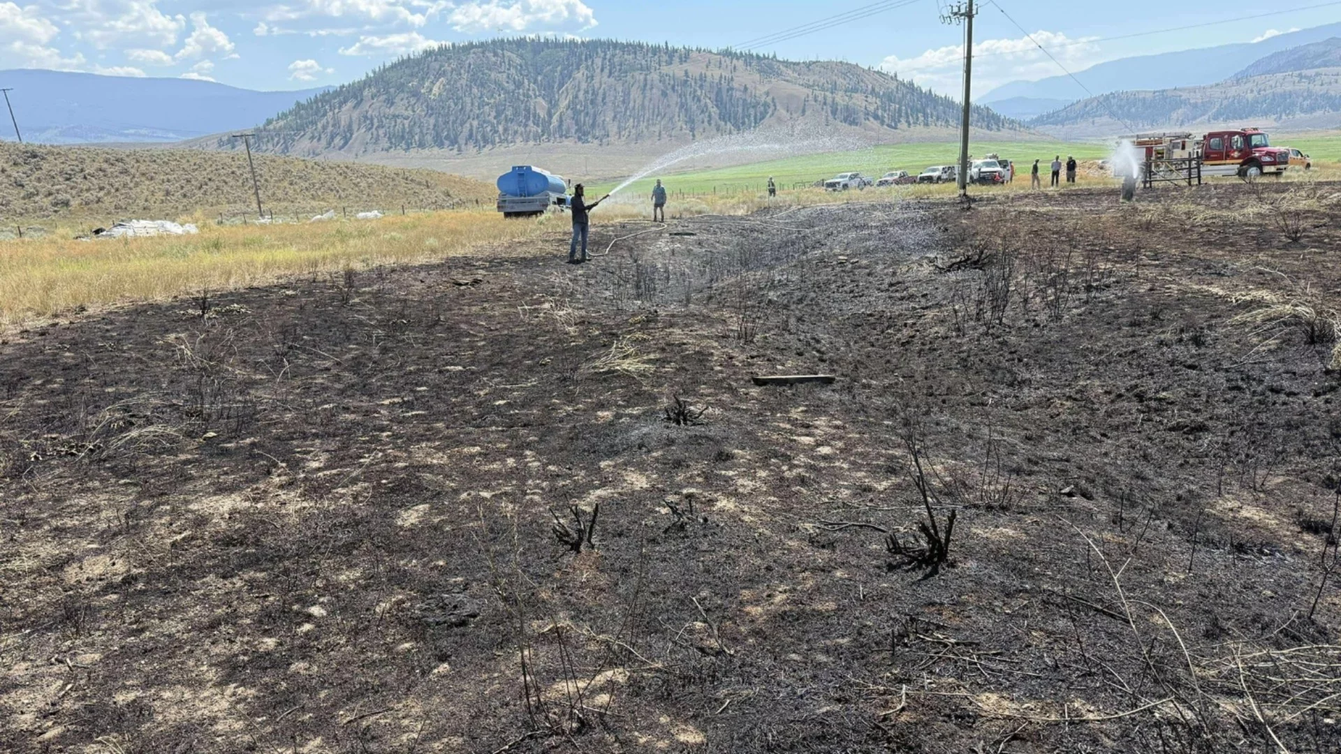 Загасиха пожара в село Карлуково