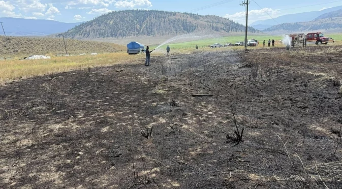 Загасиха пожара в село Карлуково