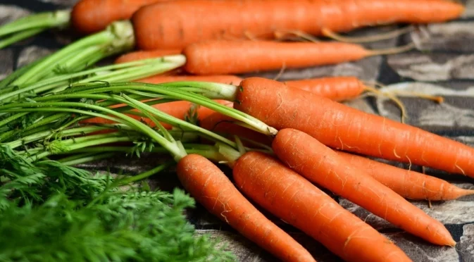Решаващо торене за морковите през август: Не го пропускайте, за да са прави, едри и сладки