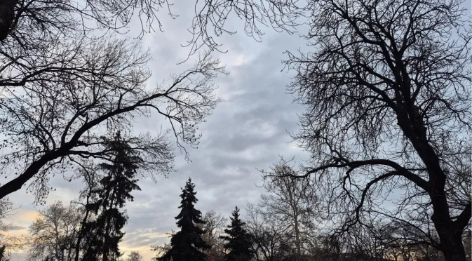 Клон падна и затисна малко дете в Бургас