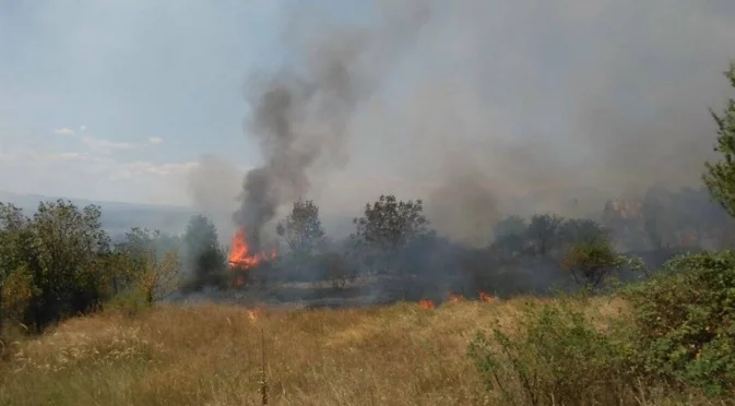 Пожар гори в Кюстендилско