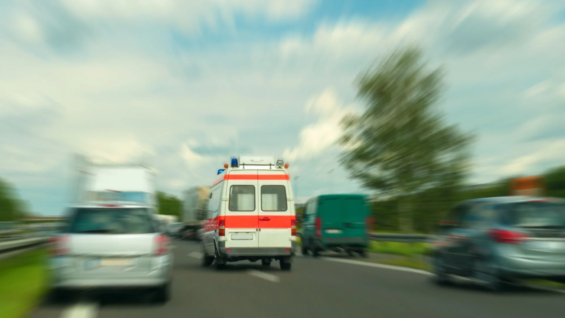Докато стои на пейка: Клон на дърво падна и уби човек в Пловдив