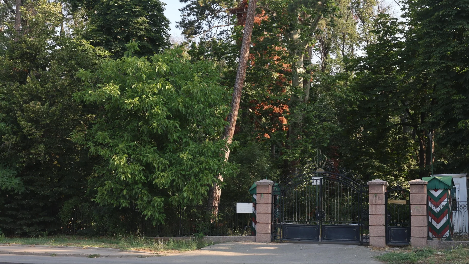 Премахват опасната растителност в парк "Врана"