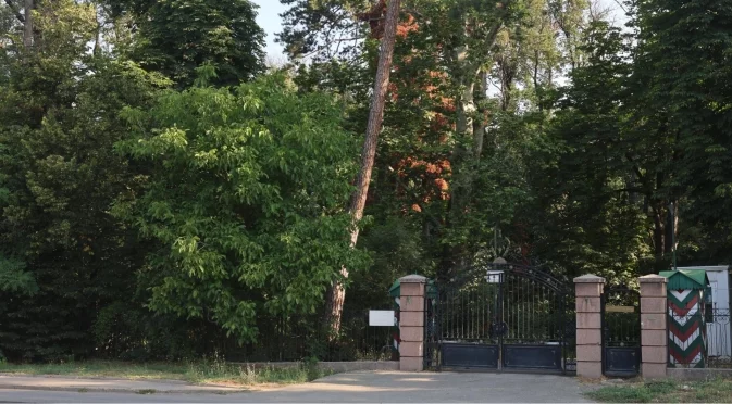Премахват опасната растителност в парк "Врана"