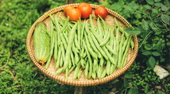 Как да приготвим най-вкусната салата от зелен боб?