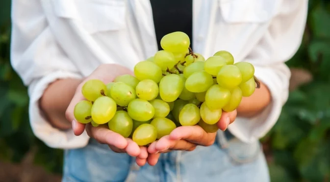 В хладилник или не - къде да съхраняваме гроздето
