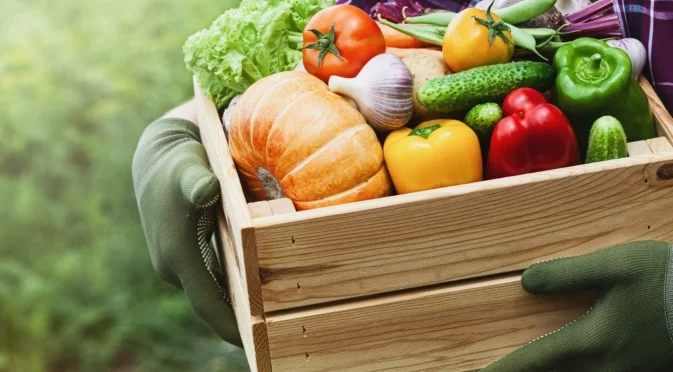 Цените на селскостопанската продукция в ЕС се повишиха сериозно