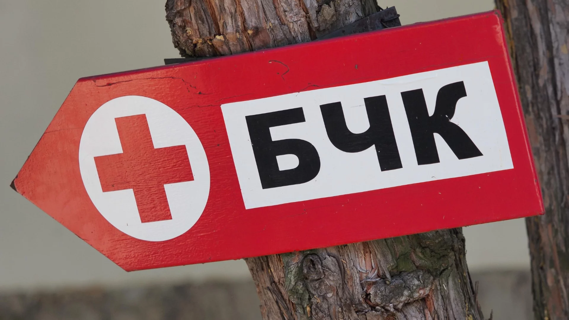 БЧК отбелязва Световния ден на първата помощ със специално събитие
