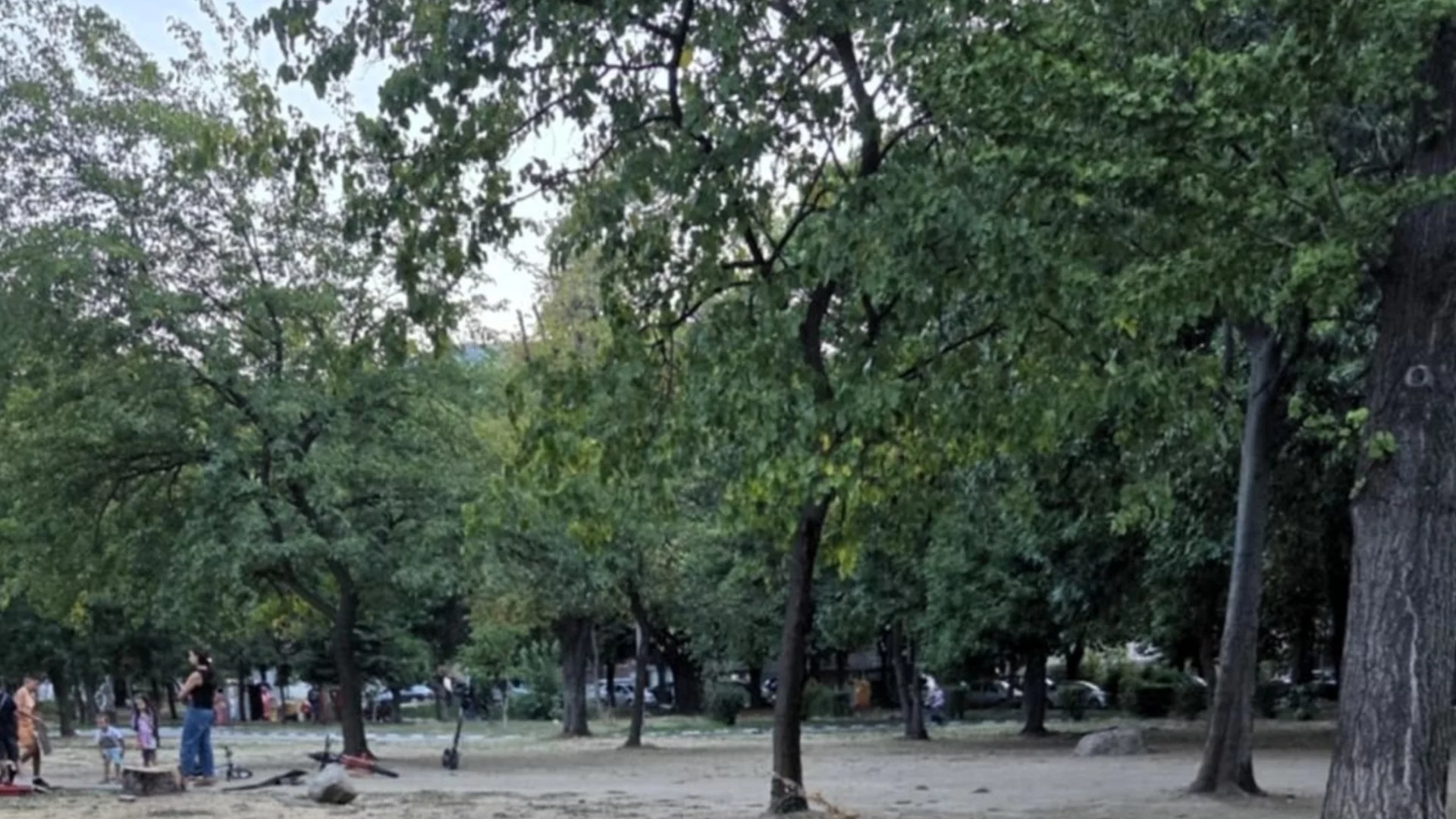 Депото в Асеновград ще приема отпадъци безплатно за два дни