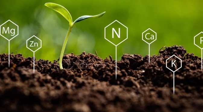 Как лесно да обогатите почвата за богата реколта и приказна градина