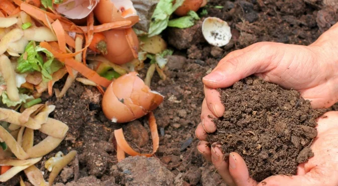Как да направите компост през есента?