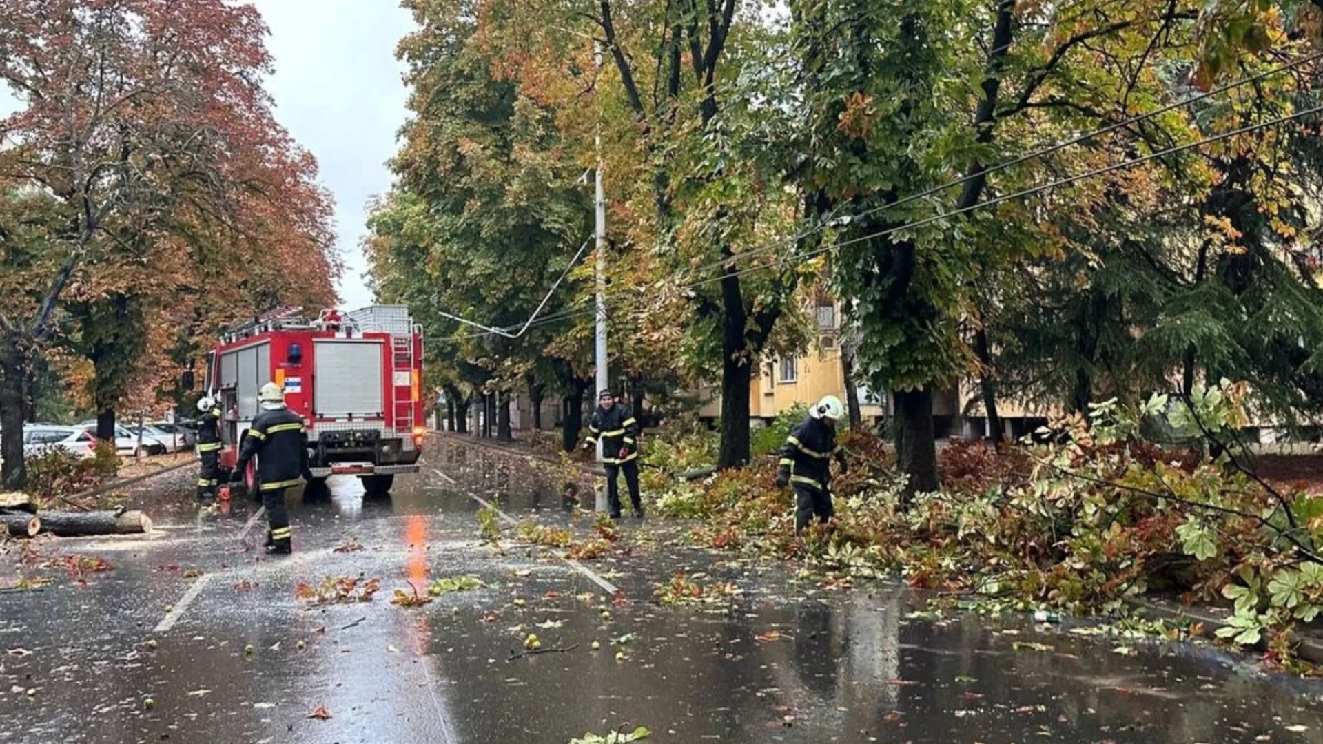 Екипи на общинските предприятия и Пожарната служба в Русе работят по сигнали за паднали дървета и аварии