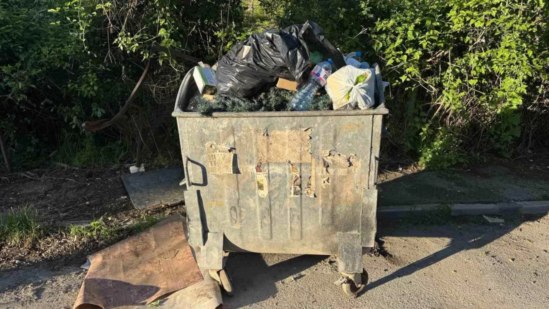 Кой рекетира София за боклука в "Люлин" и "Красно село": ВИДЕО от BIRD подсказва