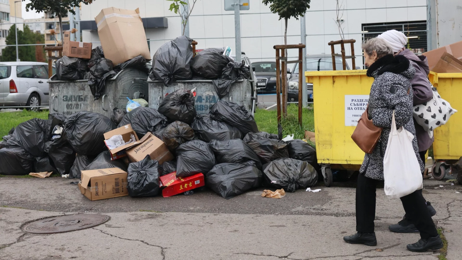 "Доброволците по почистването се справят с мафията. До 10 дни проблемът ще бъде драстично решен"