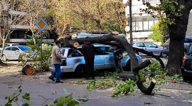 Наводнени улици, закъсали коли и паднали дървета в Русе