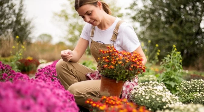 12 цветя, които да засадите през октомври и ще поникнат сами до пролетта