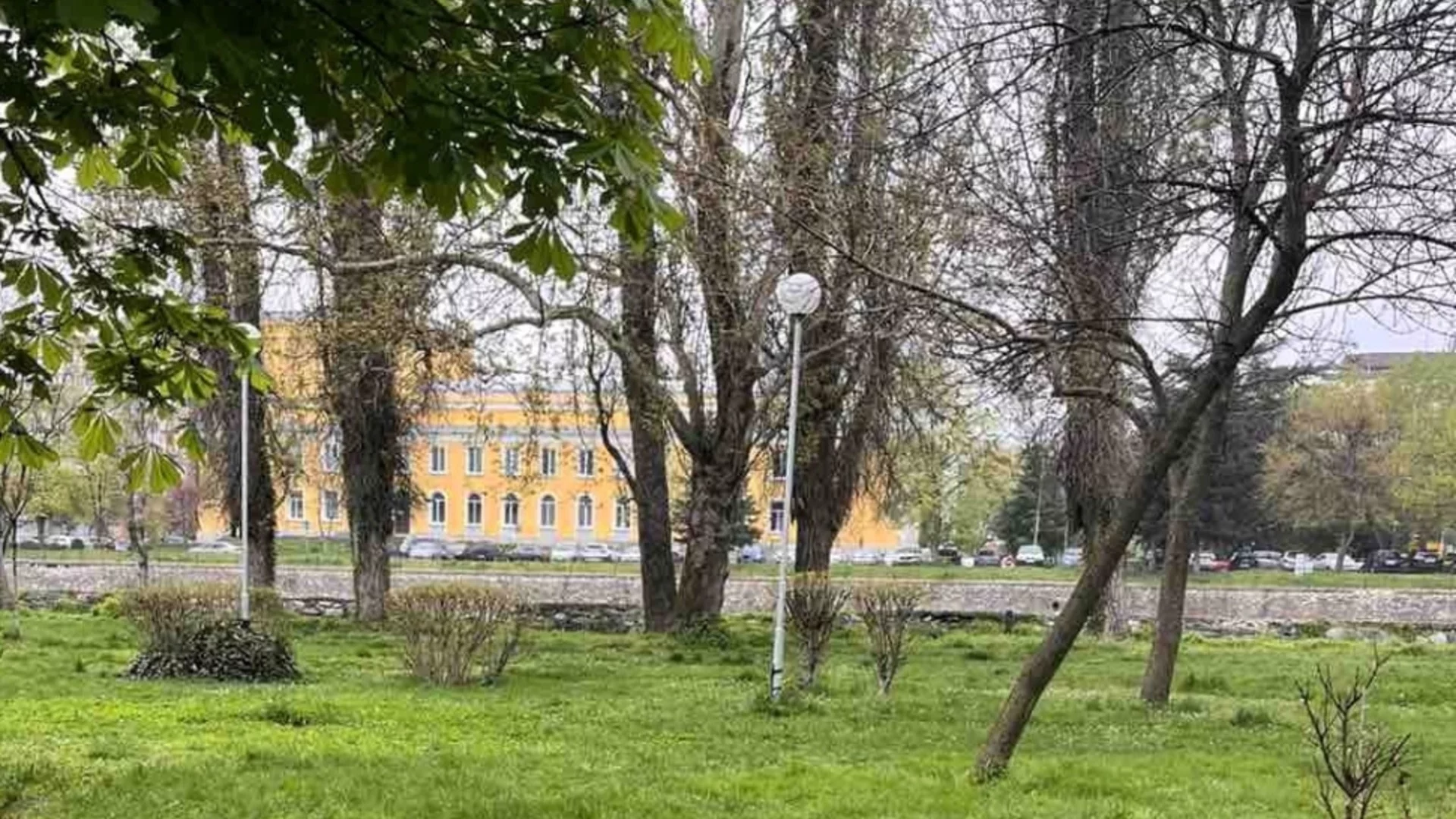 Община Асеновград раздава безплатно фиданки за засаждане