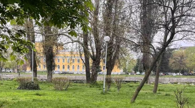 Община Асеновград раздава безплатно фиданки за засаждане