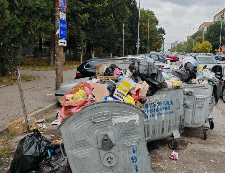 С промени в НК: До 5 години затвор за хвърляне на боклуци извън контейнерите и за умишлено замърсяване