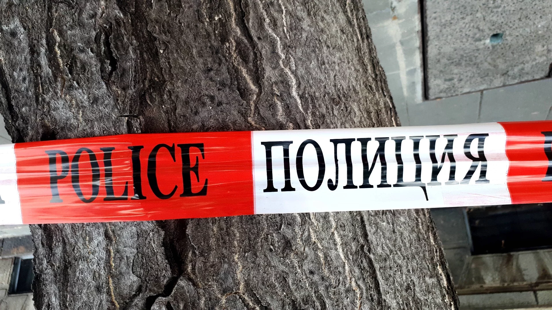Държавата реагира след серията от инциденти с агресия между ученици