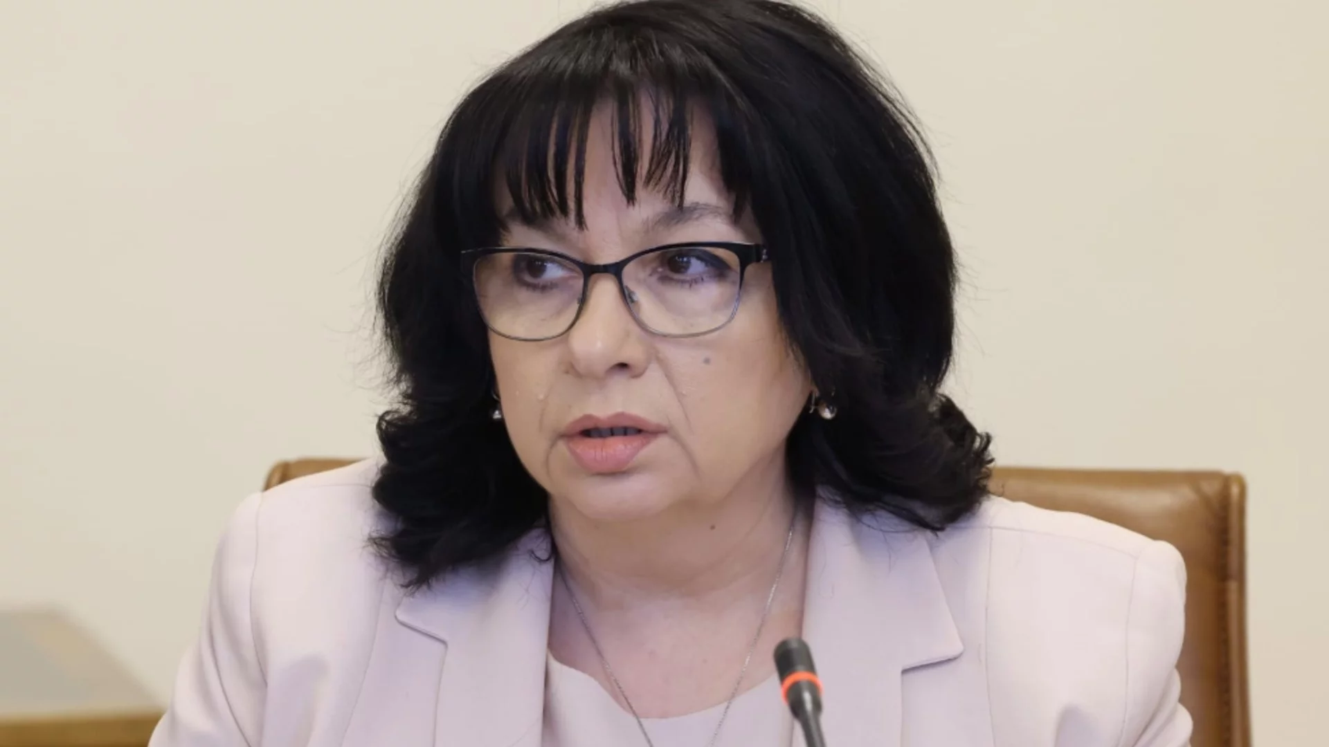 Теменужка Петкова за бюджета: Призовавам за още малко търпение (ВИДЕО)