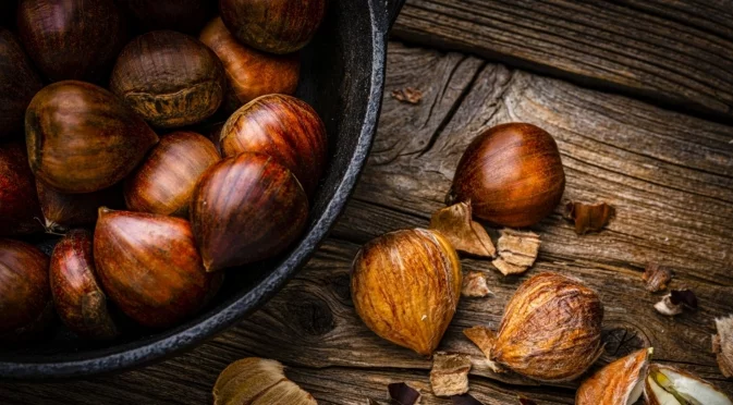 Колко време се варят кестени в тенджера под налягане