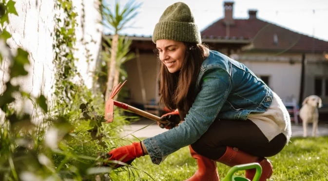Как да разберете кога да спрете засаждането през есента