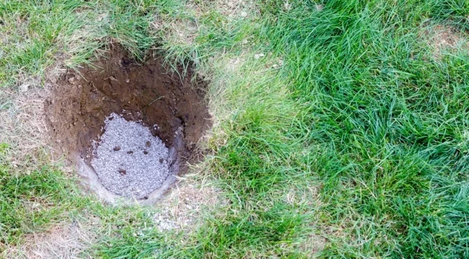 Как да подхраните градината си с гипс за богата реколта