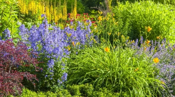 Как да идентифицираме и третираме недостига на хранителни вещества в растенията като професионален градинар  