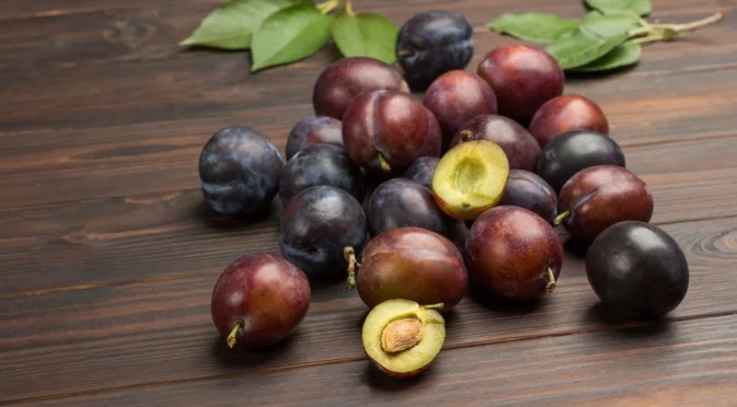 Как да отгледате сливово дърво от костилка