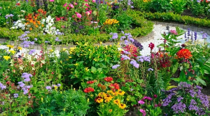 Една капка прополис прави чудеса в градината – ето как