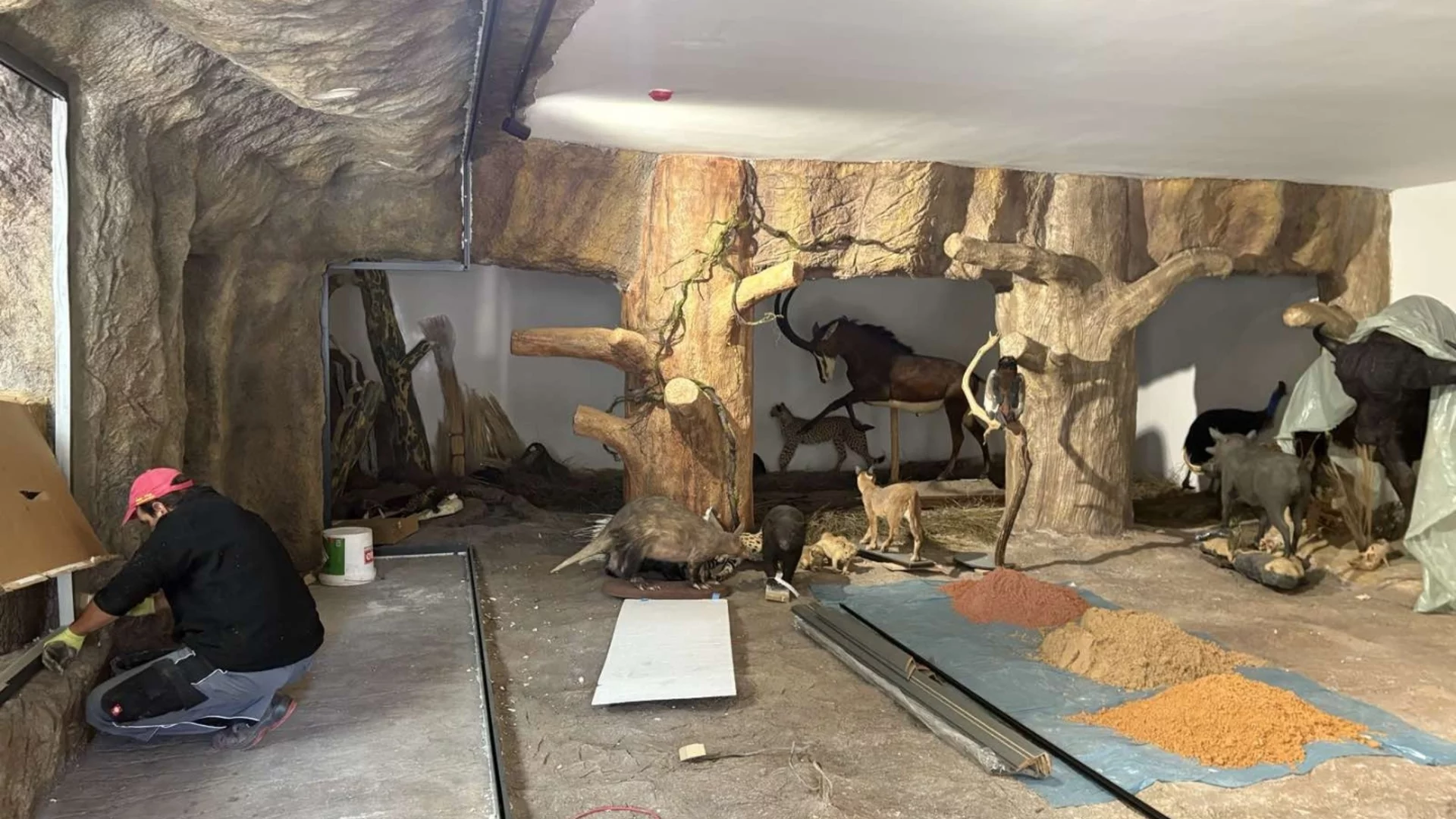 Ново зоокафе и зала към Природонаучния музей в Пловдив отварят врати през ноември