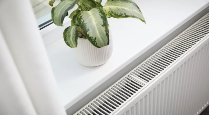 Могат ли стайните растения наистина да виреят до отоплителни уреди?