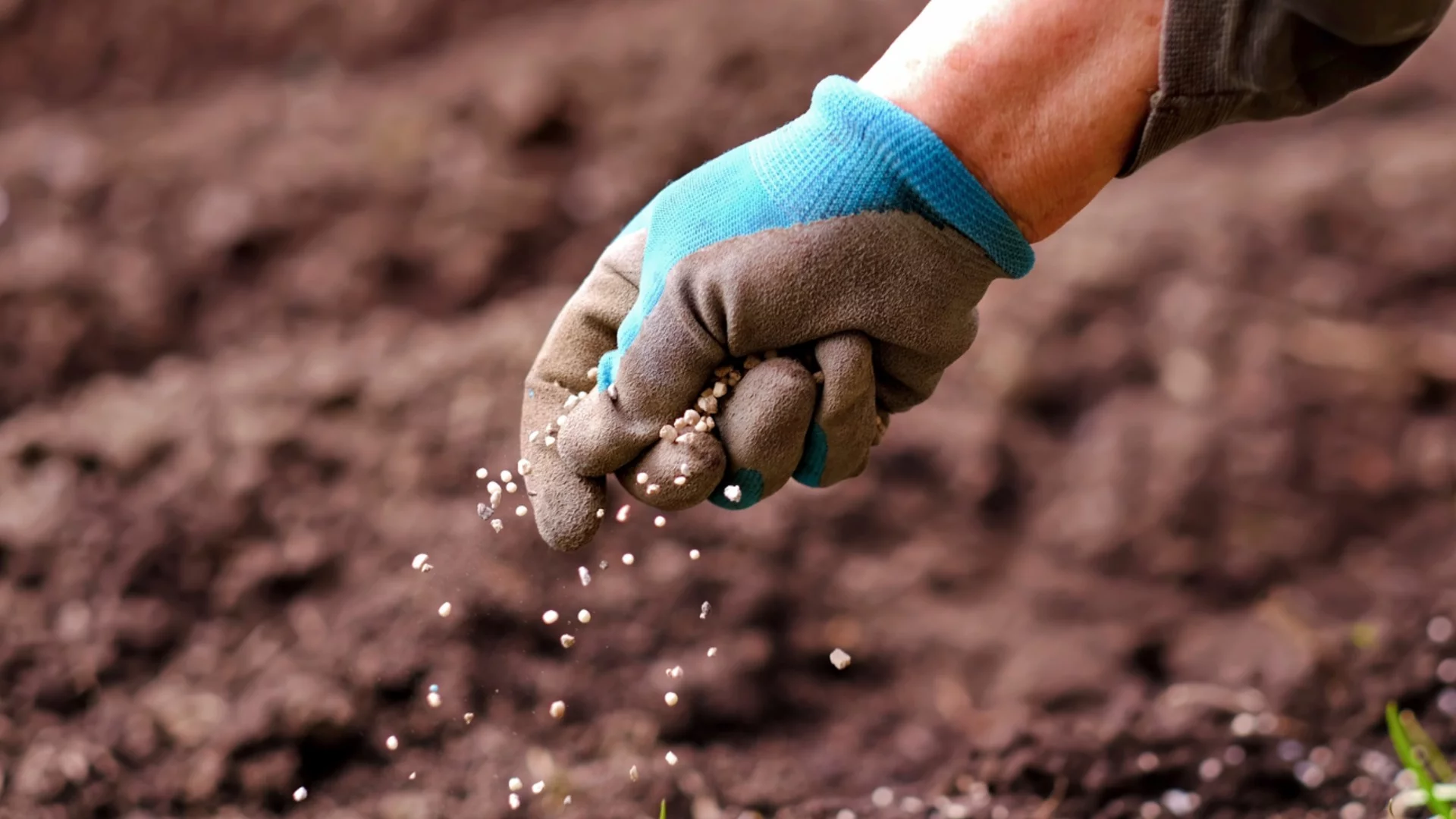 Торове, които повишават калия в градинската почва