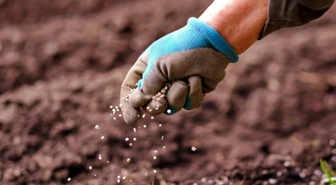 Торове, които повишават калия в градинската почва