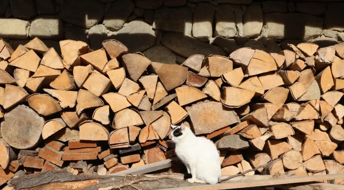 Колко семейства получават помощи за отопление